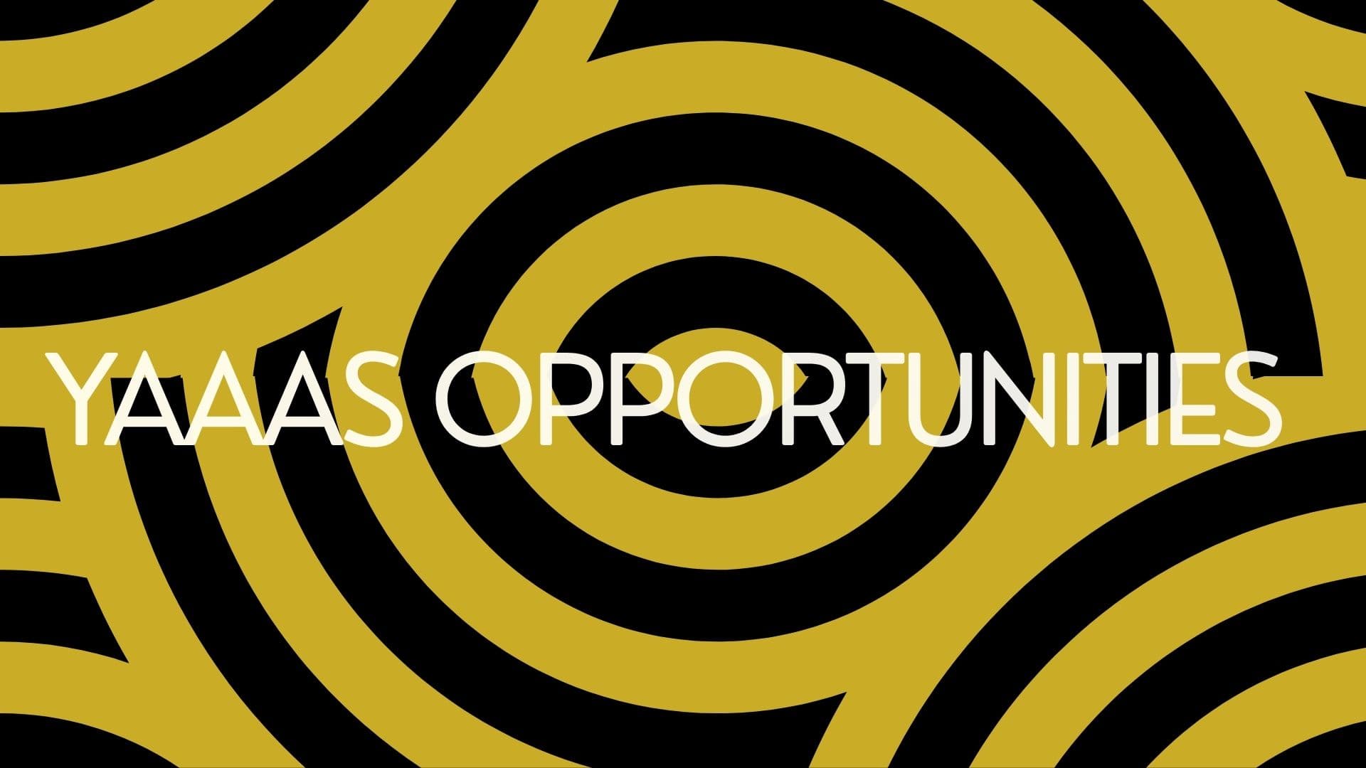 Opportunities For The Arts